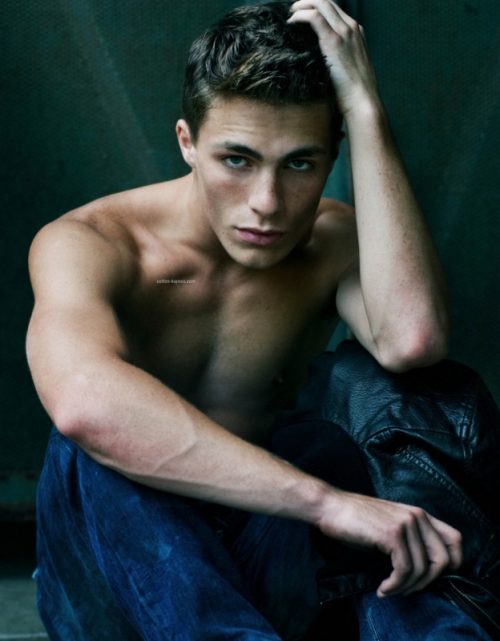 colton haynes 