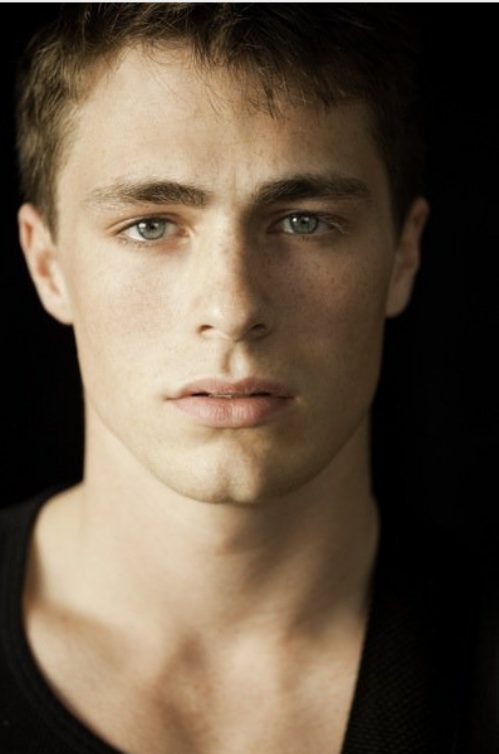 colton haynes 
