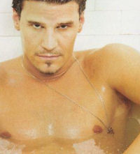 David Boreanaz nude