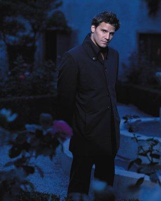 David Boreanaz 20 Loading...
