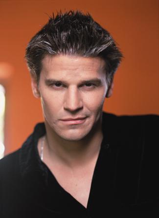 David Boreanaz 23 Loading...