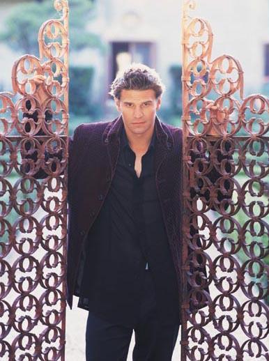 David Boreanaz 26 Loading...
