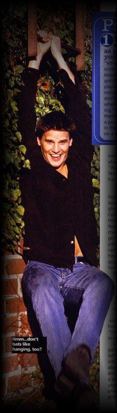 David Boreanaz 27 Loading...