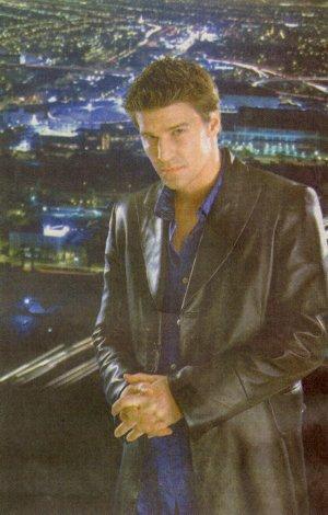 David Boreanaz 33 Loading...