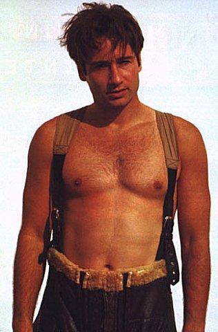 Watch David Duchovny 