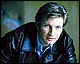 David Wenham