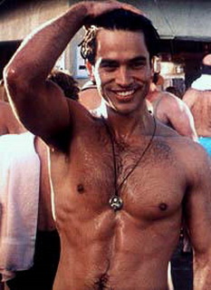 Johnathon Schaech nude