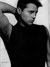 Matt LeBlanc nude