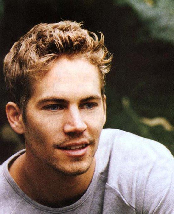 Paul Walker 8 Loading...