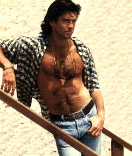 Pierce Brosnan 1 Loading...