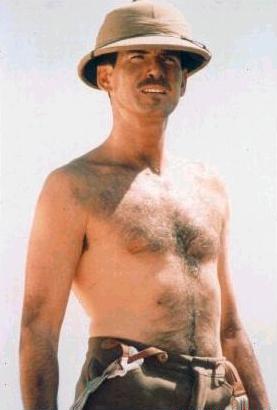 Pierce Brosnan 10 Loading...