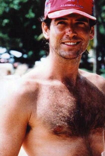 Pierce Brosnan 14 Loading...