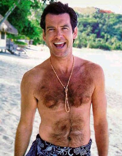 Pierce Brosnan 7 Loading...