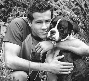 Ryan Reynolds 8 Loading...