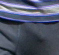 taylor lautner bulge