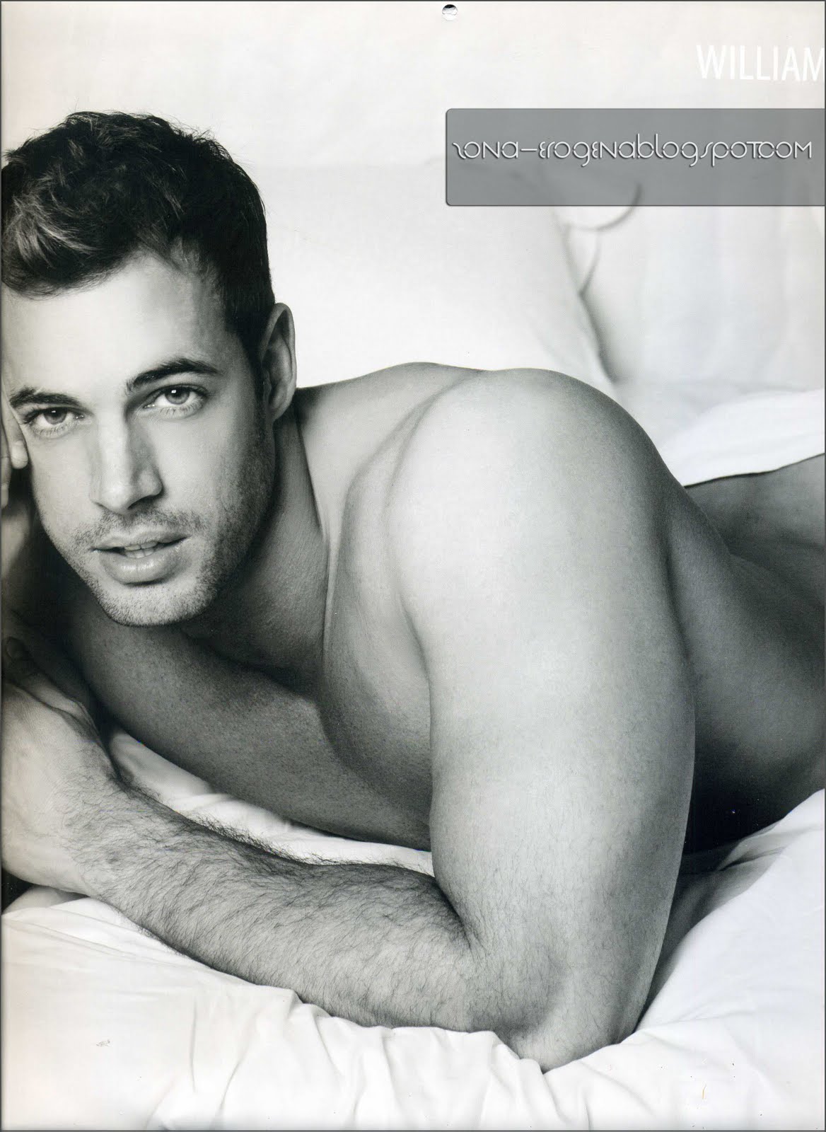 william levy nude